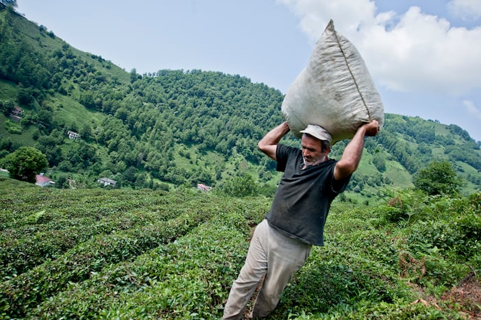 Համշէնահայերու նոյնականացումը